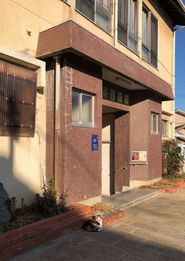 熱の湯（無料）にいつもいる。