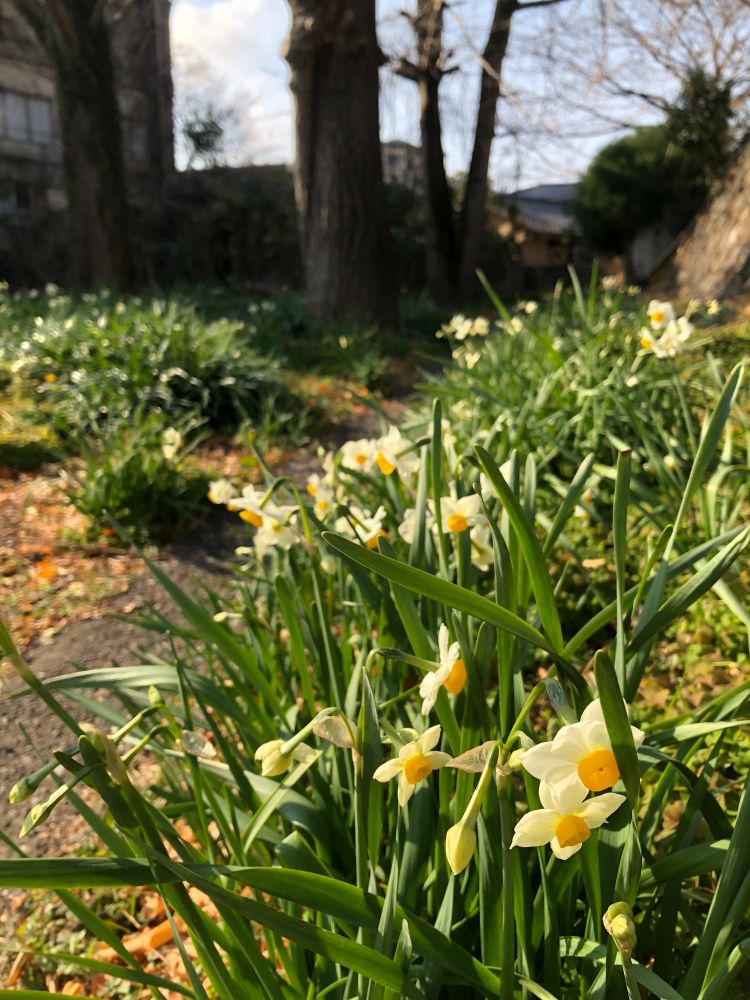 猫も人も好きな近道