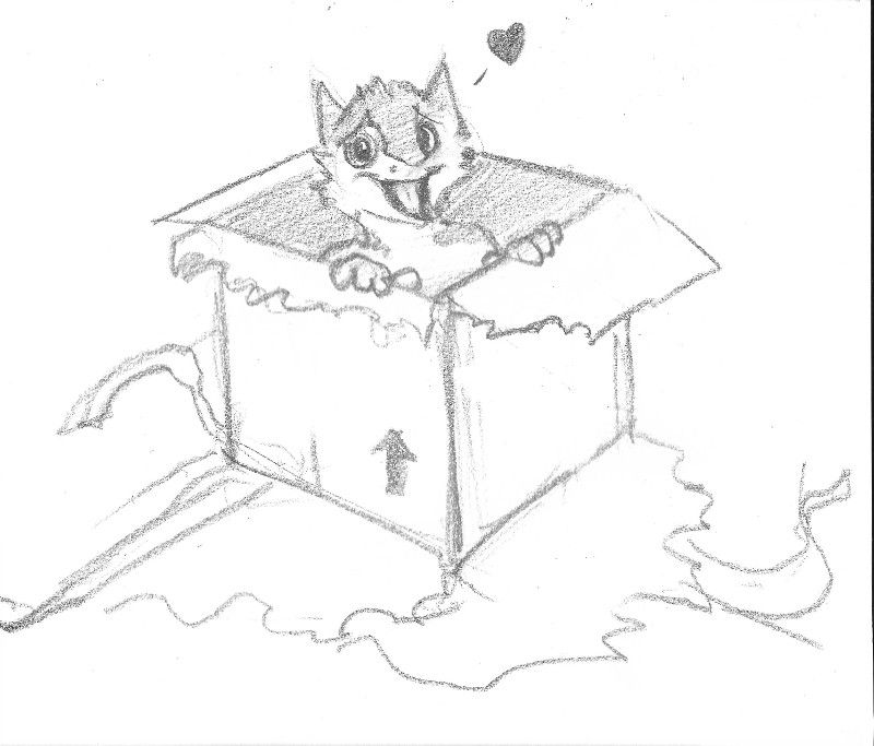 A small sergal delivered in a box.