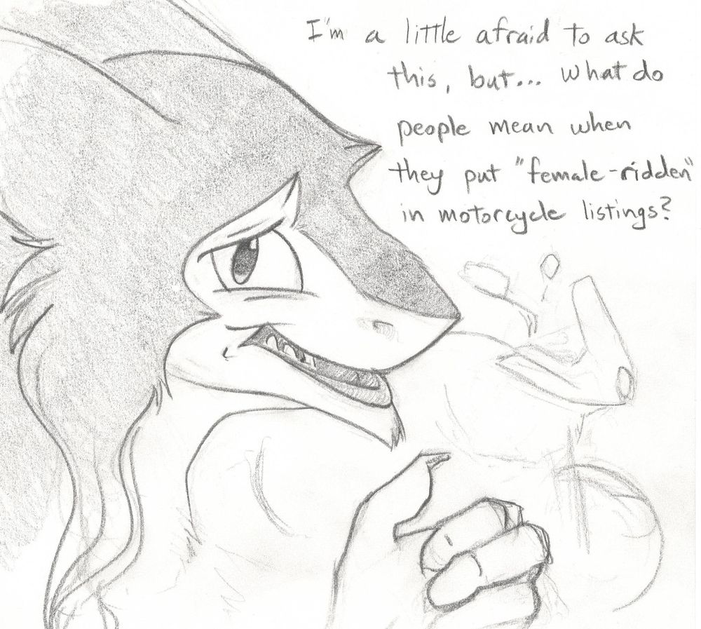 Sisk gestures to a loosely drawn motorcycle in the background, and asks with a worried face "I'm a little afraid to ask this, but...what do people mean when they put 'female-ridden' in motorcycle listings?"