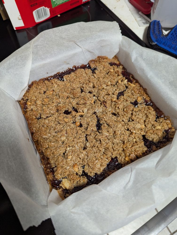 Triple berry jam oat bars, out of the oven and cooled off a good amount.