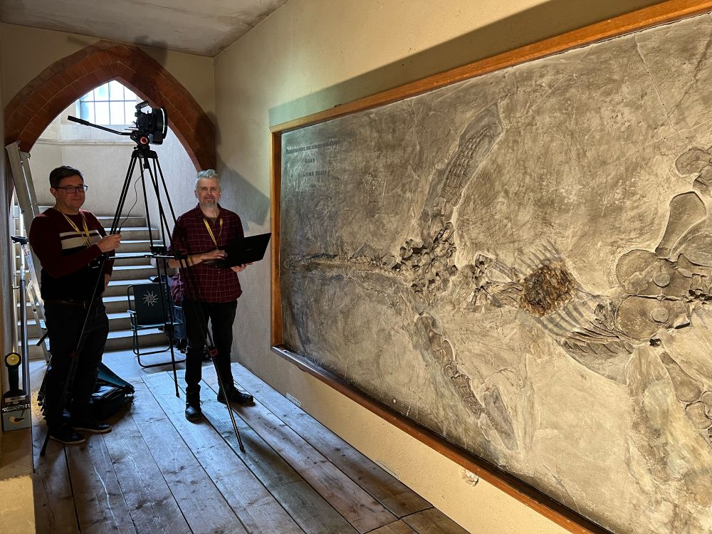Two men standing by large fossil marine reptile
