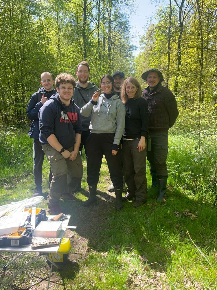 Robin team with T30 - field work on a partial migratory robin population in Northern Germany.