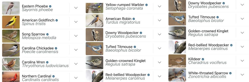 A list of birds recording in the Merlin app.