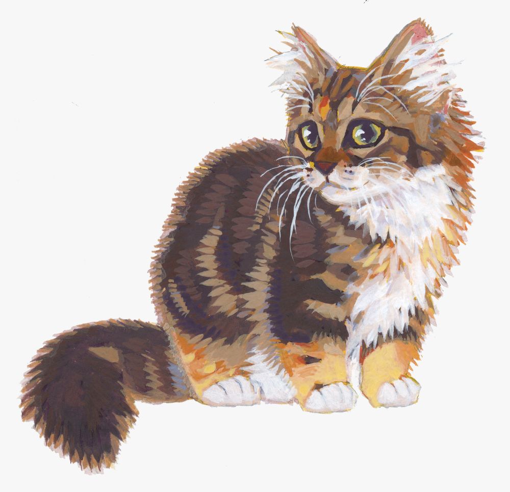 Gouache painting of a torbie and white kitten