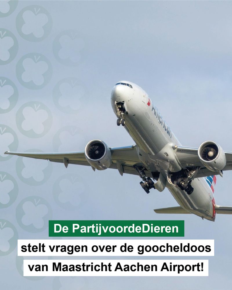 Een wit vrachtvliegtuig in de lucht. Een tekst in groene en witte balken leest "De PartijvoordeDieren stelt vragen over de goocheldoos van Maastricht Aachen Airport"