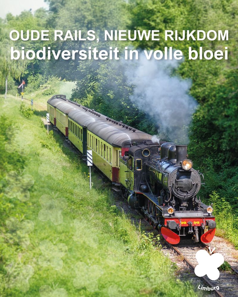 Historisch zwart stoomtreintje rijdt door een groen landschap. De koptekst leest: Oude rails, nieuwe rijkdom; biodiversiteit in volle bloei.