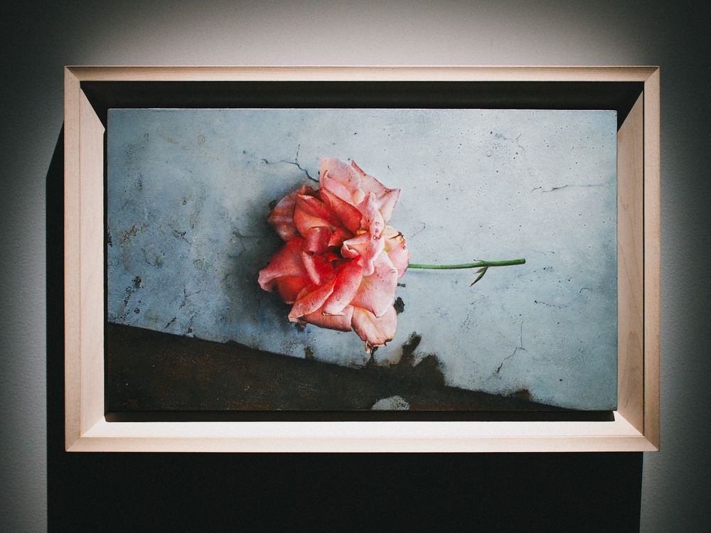 『諏訪敦｜きみはうつくしい』の作品の一部