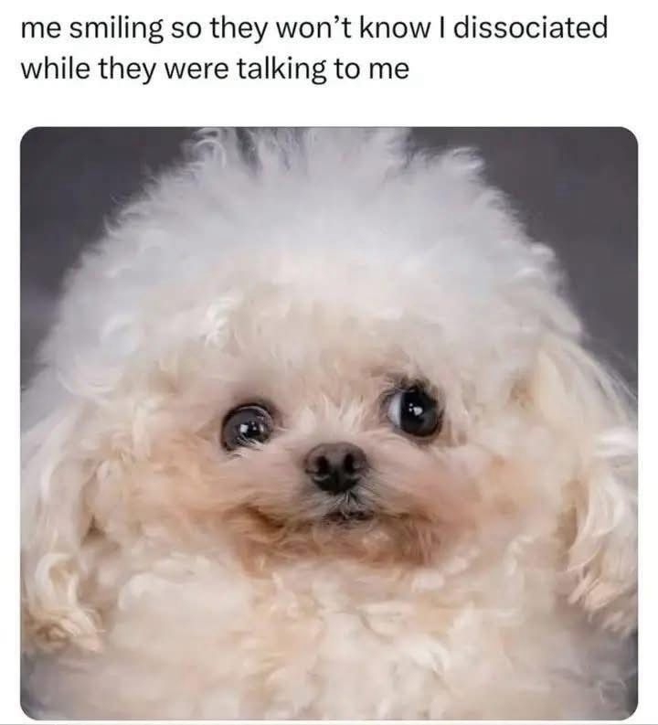 top text: me smiling so they wont know I dissociated while they were talking to me
above picture of very small fluffy white poodly type with a sort of hehe vibe eyes slightly uncrossed and a little smile on 