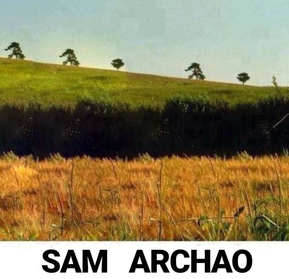 Meme de Sam va lentin pero ya se han ido
"sam archao"