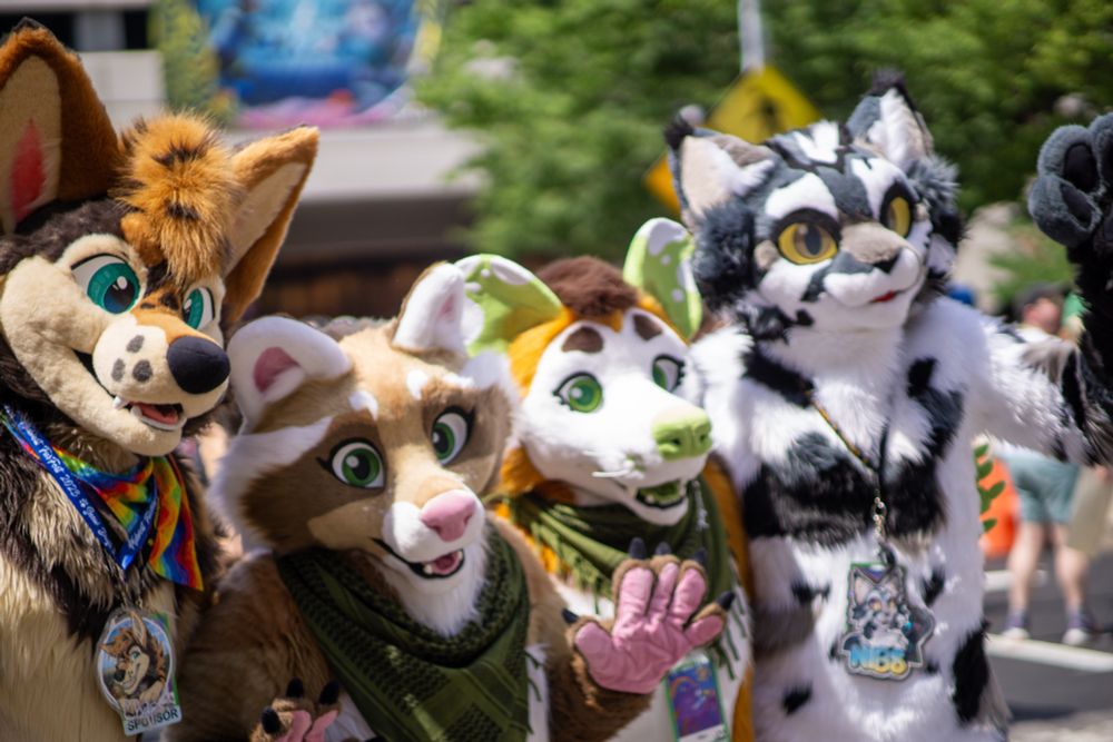 Photo of a group of fursuiters- coyote, cinnamon raccoon, opossum, and cat