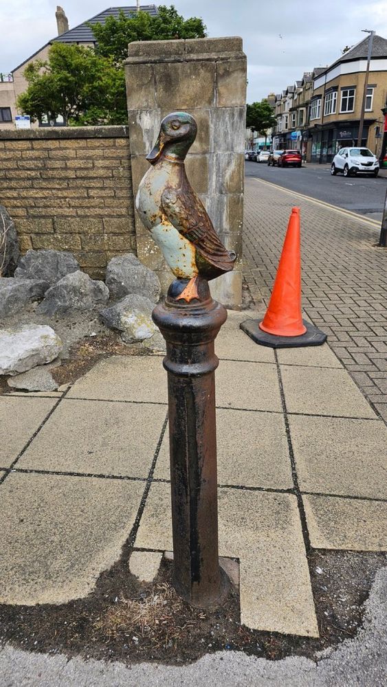A mallard topped bollard.