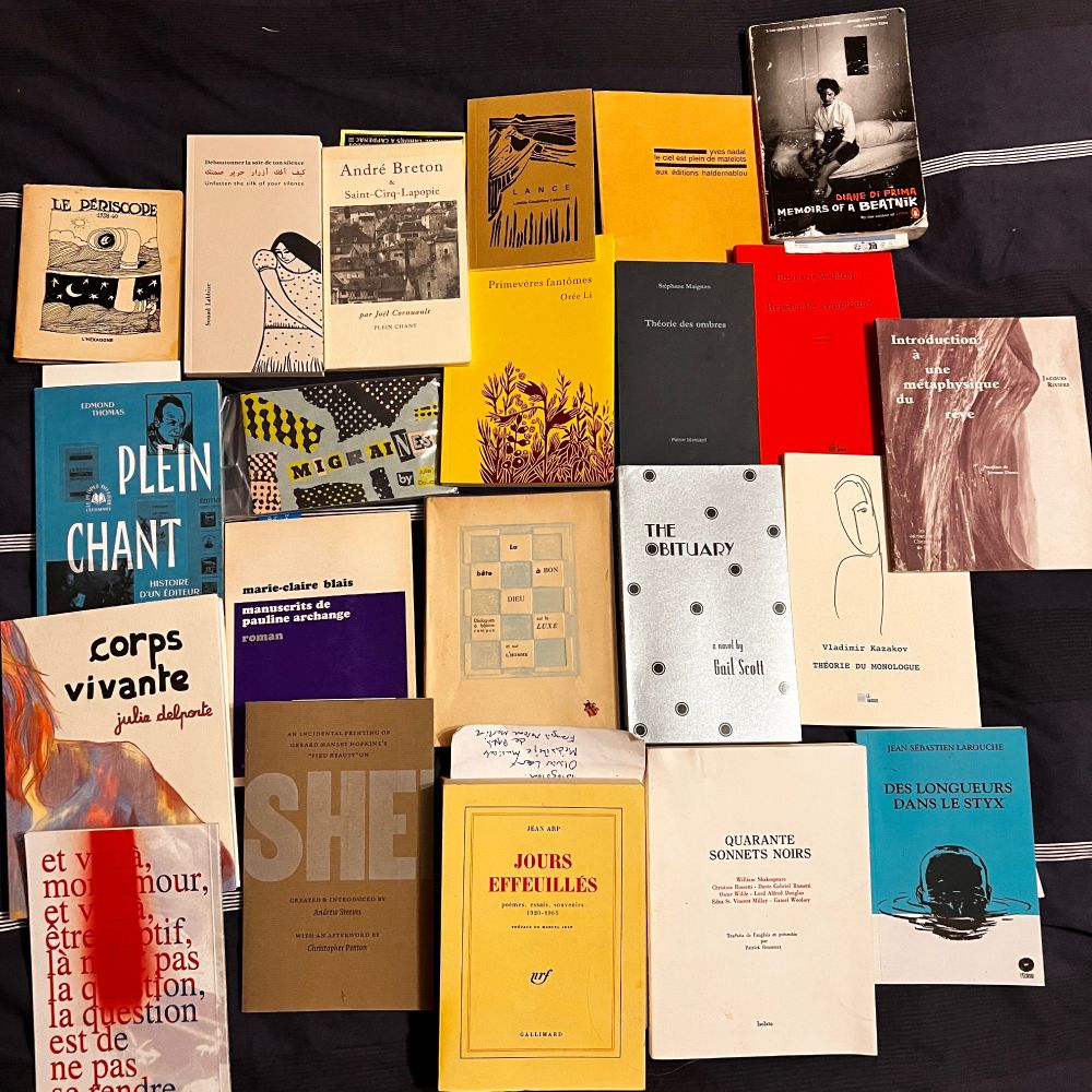 Ensemble de livres trainant autour du lit de l'éditeur de L'Oie de Cravan.