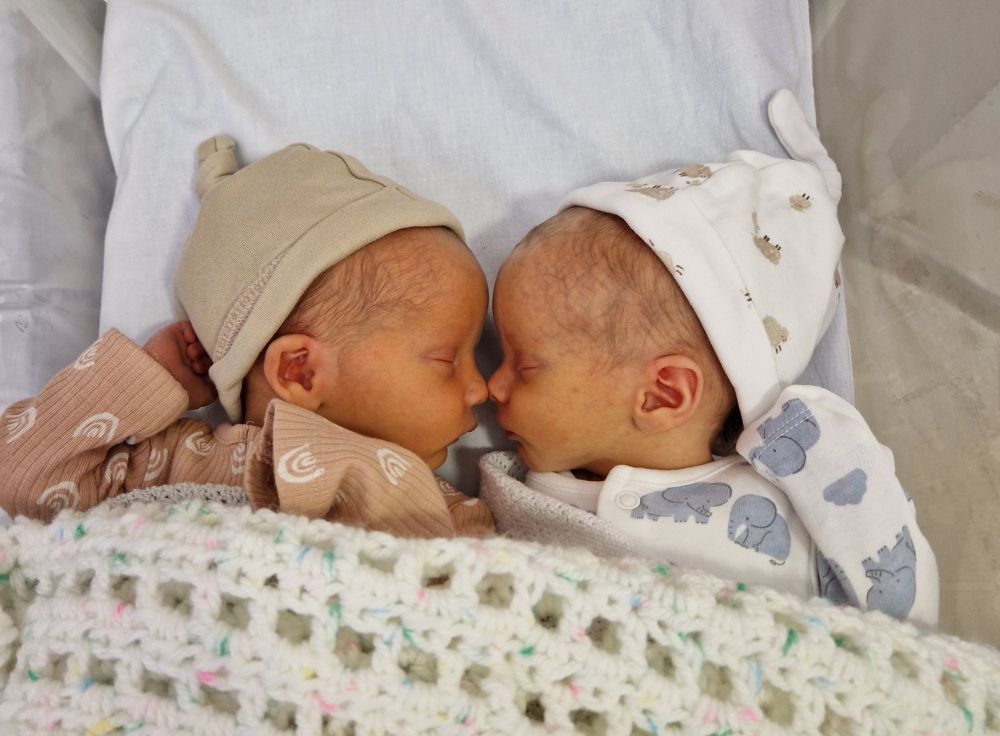Two beautiful baby boys lie nose to nose in a shared cot