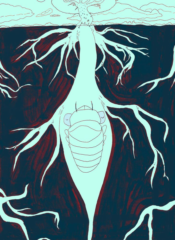 A full-page illustration, both an above-ground and below-ground view of a tree. On the above-ground view, many cicadas cling to the tree. Clouds hang overhead. The underground is dark, and one lone cicada nymph remains, its blue eyes closed as it clings to the main root of the tree.