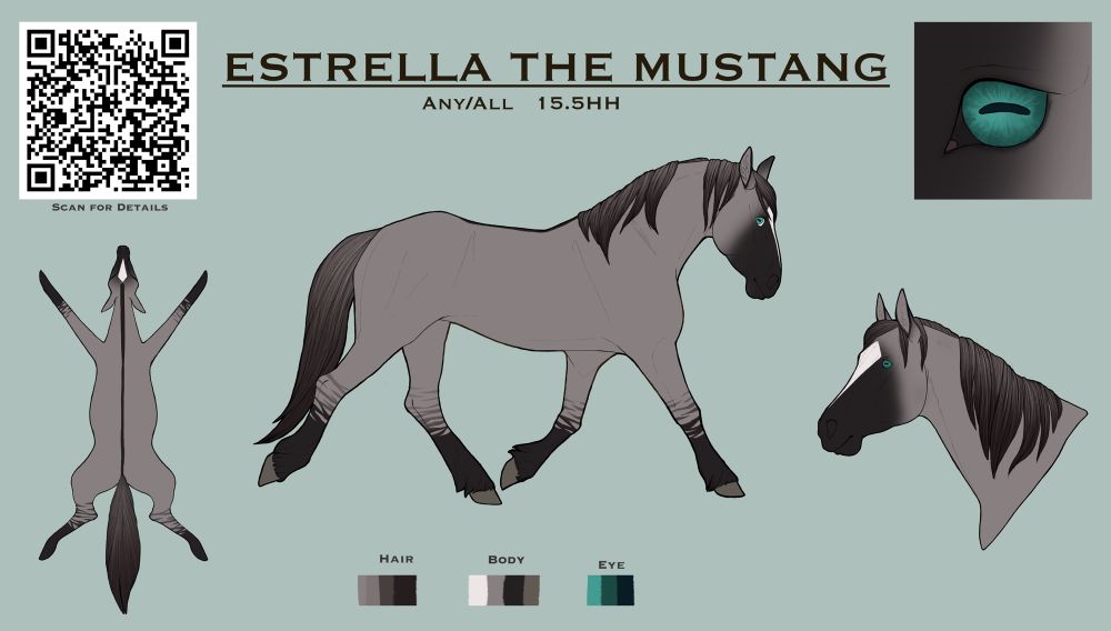 A reference sheet for a feral-style grulla mustang named “Estrella the Mustang”. 