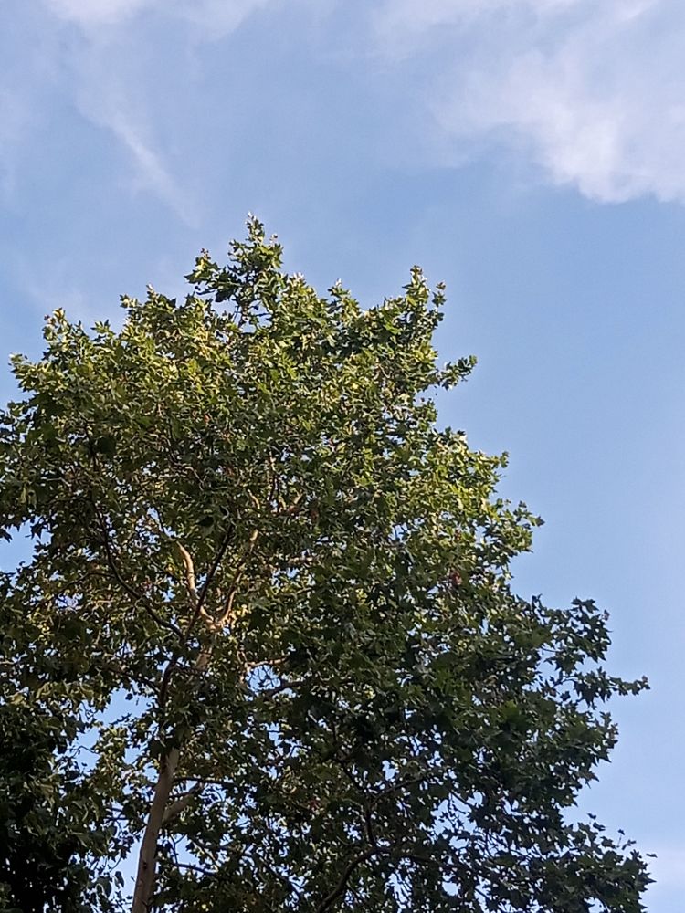 Foto del cielo