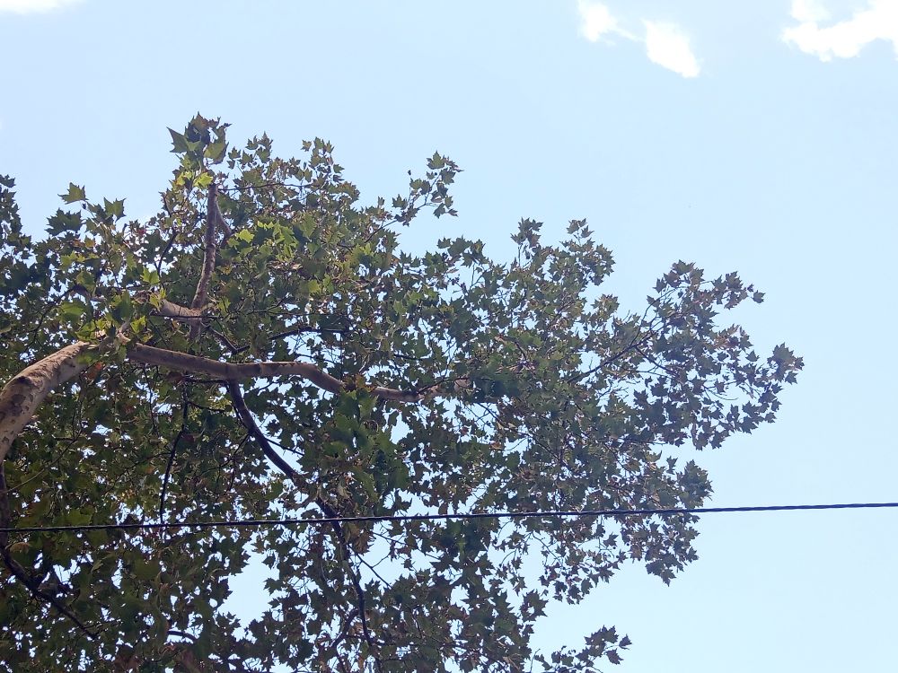 Foto del cielo