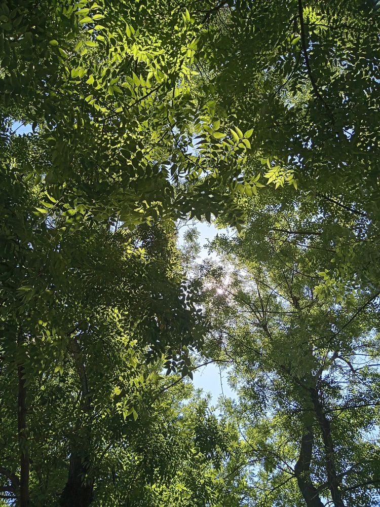 Foto del cielo
