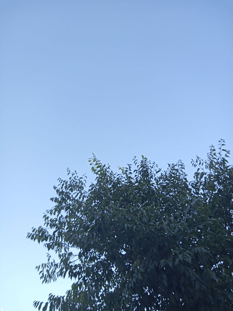 Foto del cielo