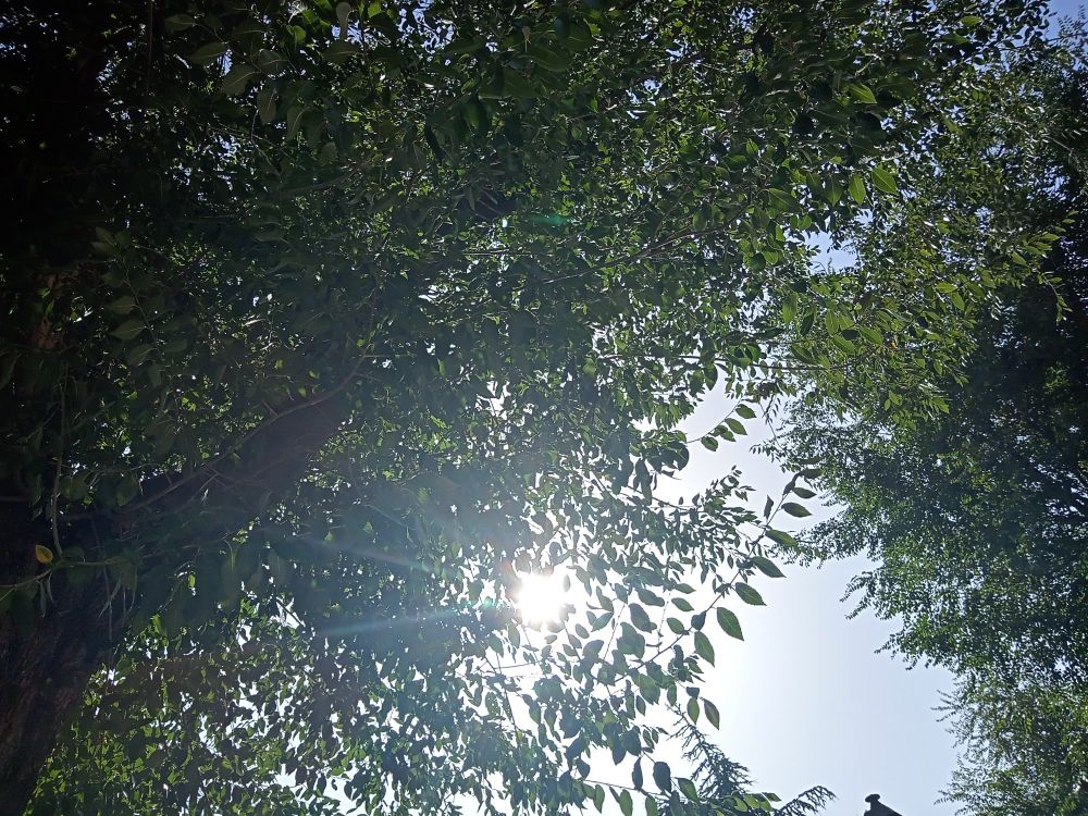 Foto del cielo