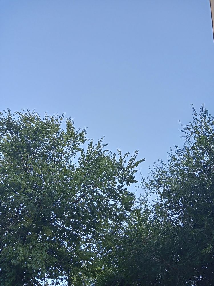 Foto del cielo
