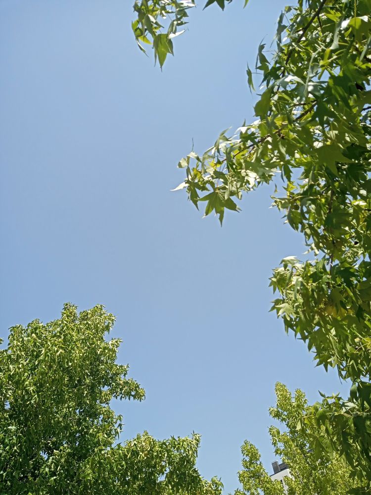 Foto del cielo