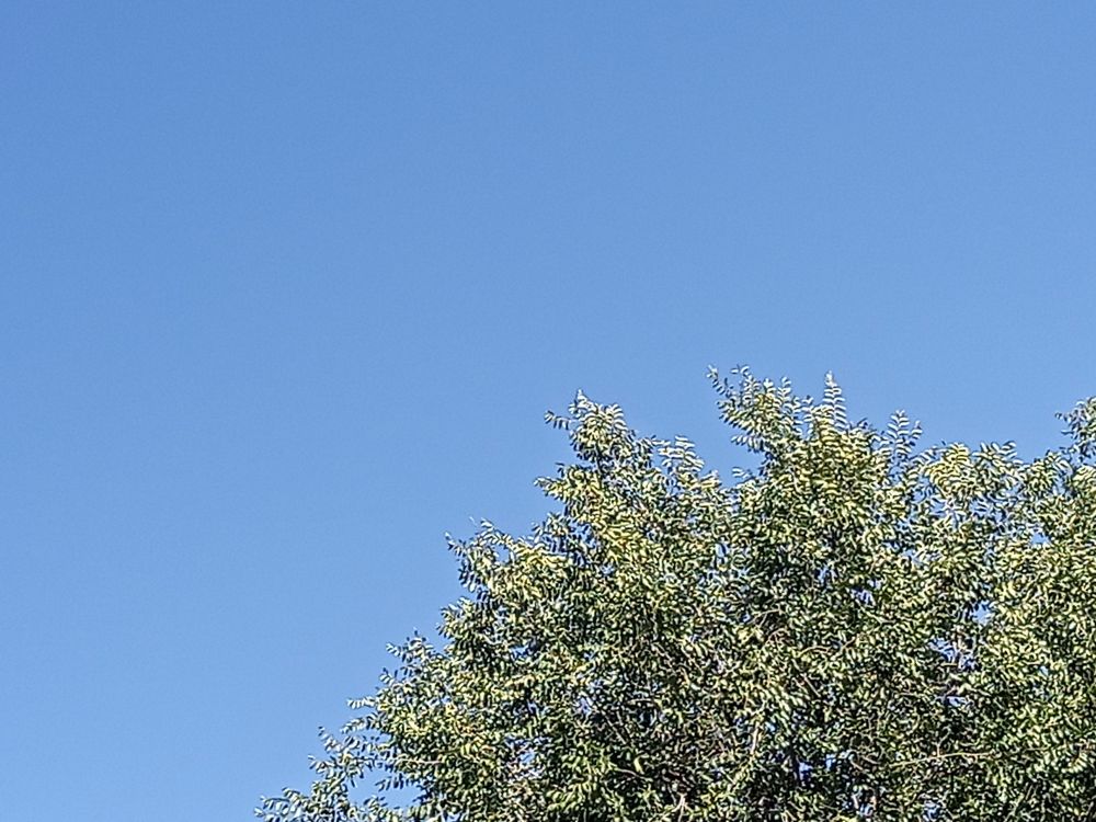 Foto del cielo