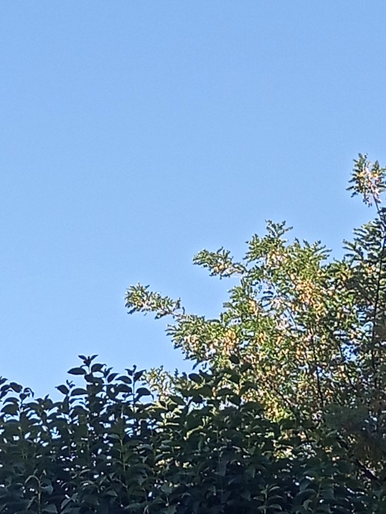 Foto del cielo