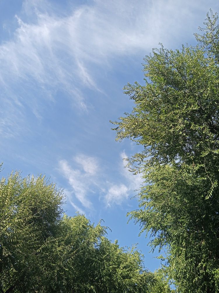 Foto del cielo