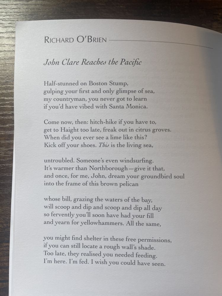 A poem by Richard O'Brien published in Nimrod Journal:

John Clare Reaches the Pacific

Half-stunned on Boston Stump,
gulping your first and only glimpse of sea,
my countryman, you never got to learn
if you’d have vibed with Santa Monica.

Come now, then: hitch-hike if you have to,
get to Haight too late, freak out in citrus groves. 
When did you ever see a lime like this?
Kick off your shoes. This is the living sea,

untroubled. Someone’s even windsurfing.
It’s warmer than Northborough - give it that,
and once, for me, John, dream your groundbird soul 
into the frame of this brown pelican

whose bill, grazing the waters of the bay,
will scoop and dip and scoop and dip all day
so fervently you’ll soon have had your fill
and yearn for yellowhammers. All the same,

you might find shelter in these free permissions,
if you can still locate a rough wall’s shade.
Too late, they realised you needed feeding.
I’m here. I’m fed. I wish you could have seen. 
 
