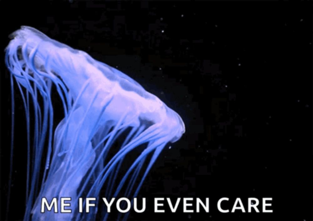 a jellyfish with the words me if you even care written below it