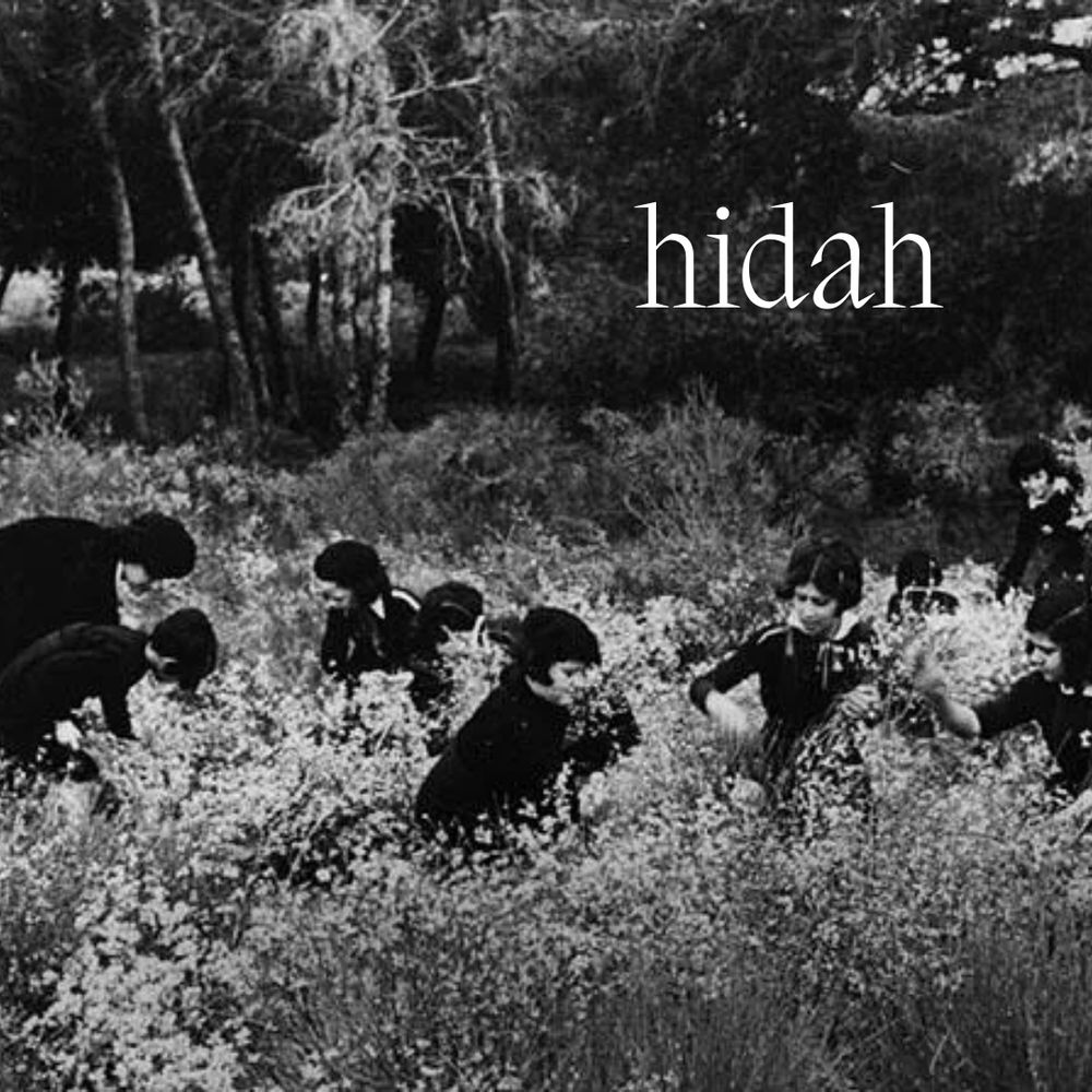 People in a field