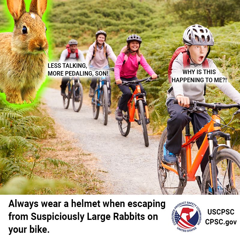 Alt. Text: A family out on an afternoon bike ride. They are being pursued by a rabbit which is, rather suspiciously, the size of an adult elephant. The son, cracking under the pressure of being at the front of the group and making the situation about himself says "Why is this happening to me!" The father, at the back of the group and in the most immediate danger says, "Less talking. More pedaling, son!" The text reads: always wear a helmet especially when escaping from suspiciously large rabbits on your bike.
