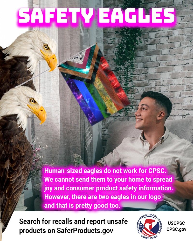 Two eagles the size of people bursting into someone's home. It is the Safety Eagles! One eagle carries a Pride flag made out of NASA satellite images in its beak. The text reads: Safety eagles. Human-sized eagles do not work for CPSC. We cannot send them to your home to spread joy and consumer product safety information. However, there are two eagles in our logo and that is pretty good too. Search for recalls and report unsafe products on SaferProducts.gov.
