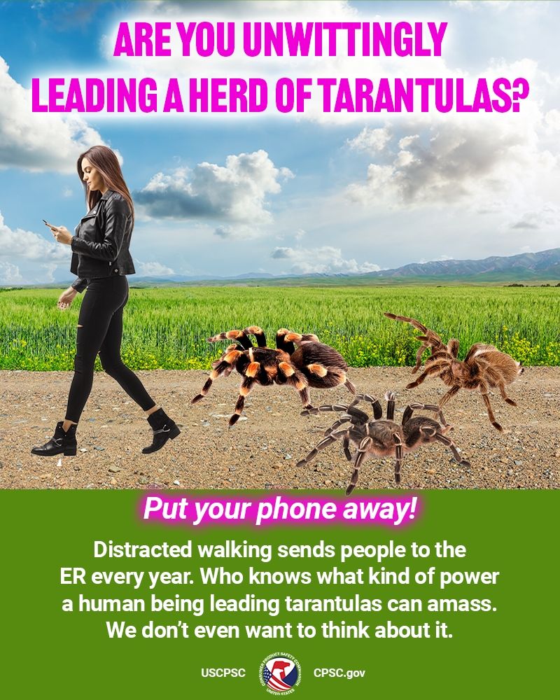 A woman walking in the country while looking at her phone. Behind her is a heard of tarantulas. She has no idea. The text reads: Are you unwittingly leading a heard of goats? Put your phone away! Distracted walking sends people to the ER every year. Who knows what kind of power a human being leading tarantulas can amass. We don't even want to think about it.