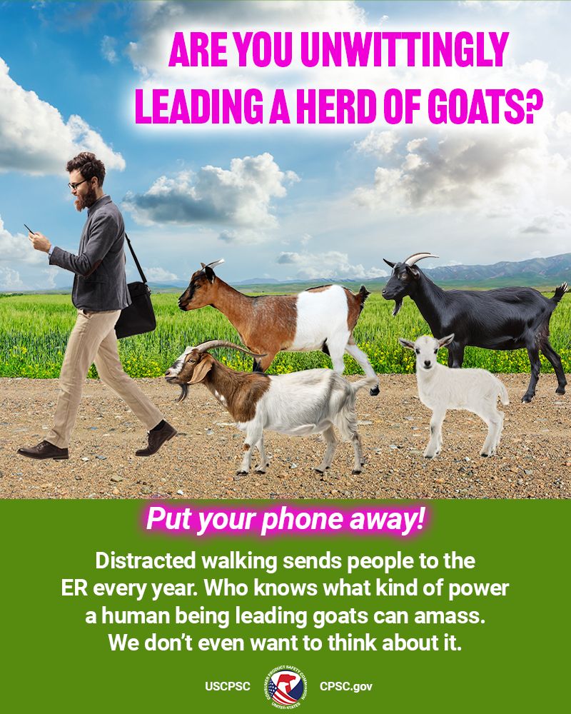 A man walking in the country while looking at his phone. Behind him is a heard of goats. He has no idea. The text reads: Are you unwittingly leading a heard of goats? Put your phone away! Distracted walking sends people to the ER every year. Who knows what kind of power a human being leading goats can amass. We don't even want to think about it.