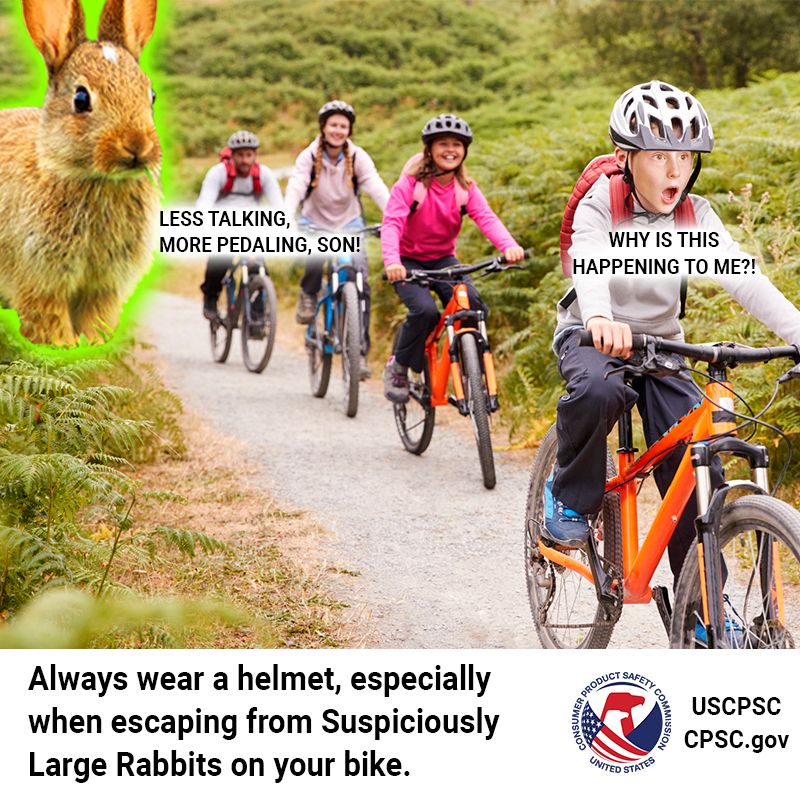 A family out on an afternoon bike ride. They are being pursued by a rabbit which is, rather suspiciously, the size of an adult elephant. The son, cracking under the pressure of being at the front of the group and making the situation about himself says "Why is this happening to me!" The father, at the back of the group and in the most immediate danger says, "Less talking. More pedaling, son!" The text reads: always wear a helmet especially when escaping from suspiciously large rabbits on your bike.