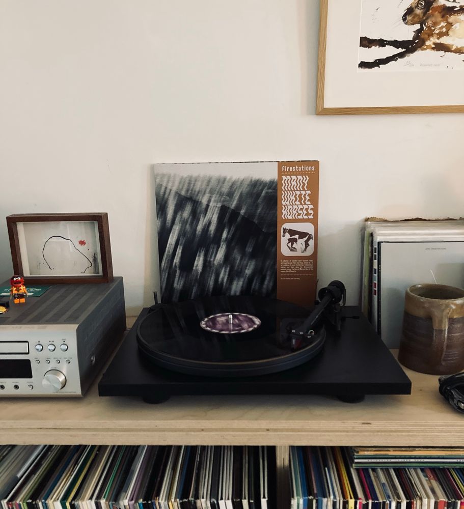 Firestations - Many White Horses LP