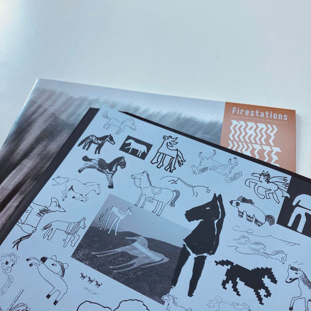 Firestations - Many White Horses LP