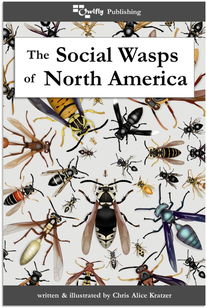 The cover of the book "The Social Wasps of North America". Many wasps of all shapes, sizes, and colors are arranged radially out from the center. 