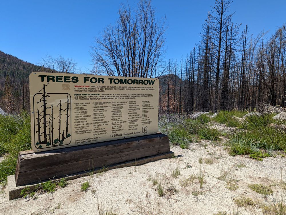 Sign with "Trees for Tomorrow" showing trees planted after a 1981 fire and the trees are now burned in a 2022 fire