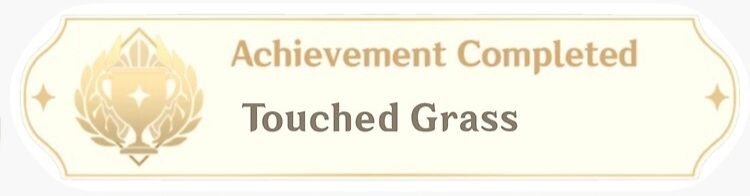 Achievement completed "touched grass."