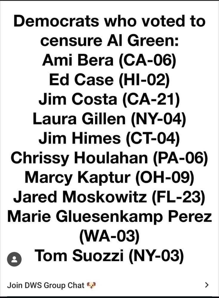 List of democrats who voted to censure Al Green:
Ami Bera 
Ed Case
Jim Costa
Laura Gillen
Jim Himes
Chrissy Houlahan
Marcy Kaptur
Jared Moskowitz
Marie Gluesenkamp Perez
Tom Suozzi