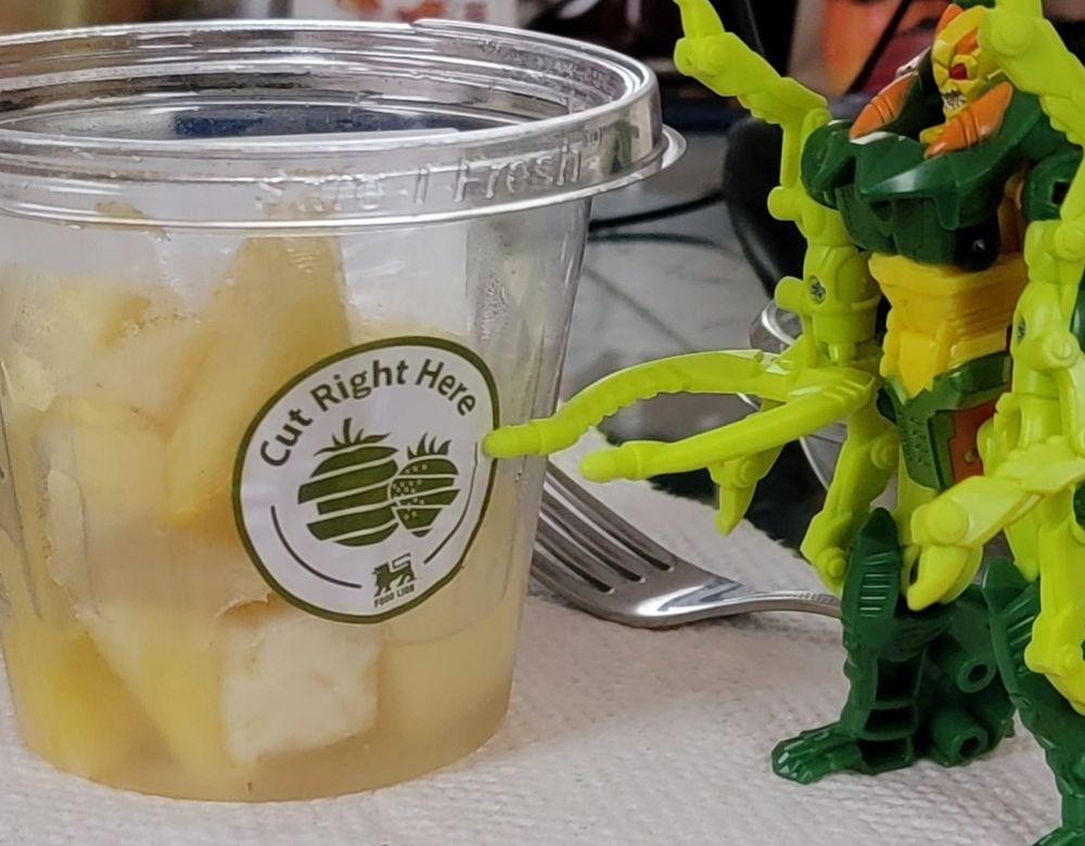 Cyberworld Chop Shop toy attempts to cut a fruit container that says "cut right here", presumably because bugs don't understand tenses. Or English.