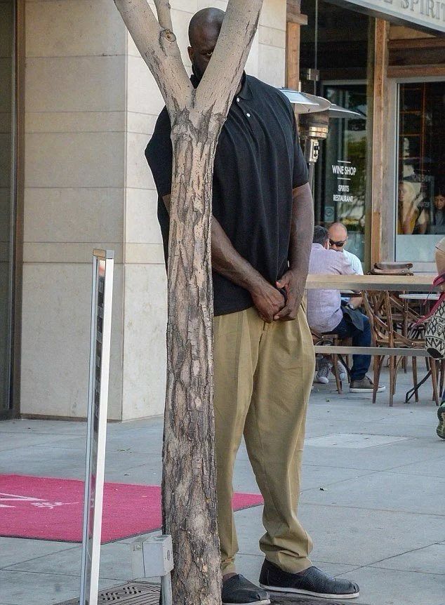 Funny, shaq, meme, shaq meme, funny meme, blue sky, addtoblacksky, black sky, twitter 