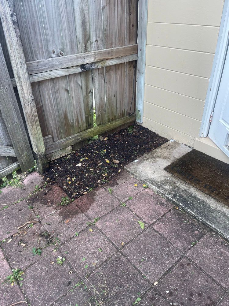 Newly planted flower bed. Wildflowers here.