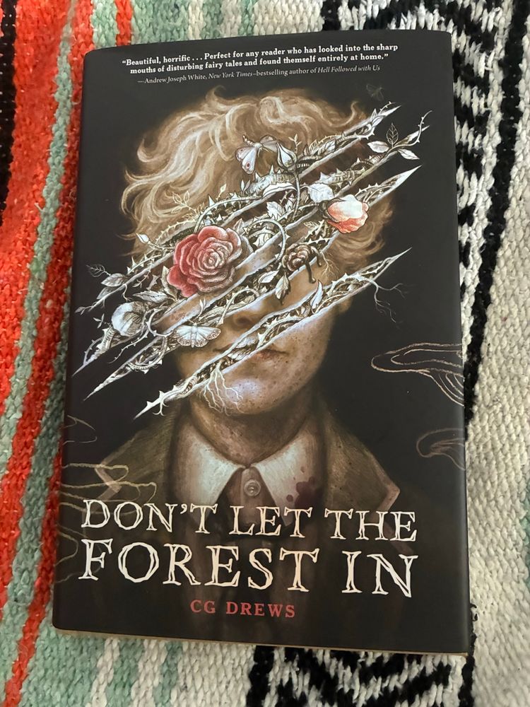 Photo of the book Don’t Let the Forest In by CG Drews