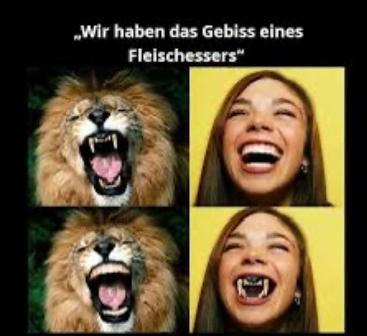 Wir haben das Gebiss eines Fleischfressers: Löwe und Frau mit vertauschten Gebissen