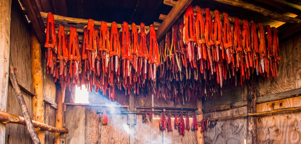 A view inside a salmon smokehouse, showing halved fish, flesh out, suspended from beams.